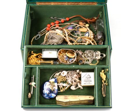 A jewel box of vintage costume jewellery, metal bug brooches, mourning brooch with plaited hair, odd earrings, a silver toppe