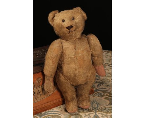 An early 20th century jointed golden mohair teddy bear, attributed to Steiff (Germany), black boot button eyes, pronounced sn