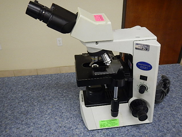 OLYMPUS OPTICAL CX-31 MICROSCOPE, MODEL #CX31RBSFA