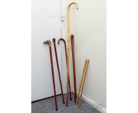 Seven walking sticks, including a shepherd's crook and a collapsible stick with brass horse head handle
