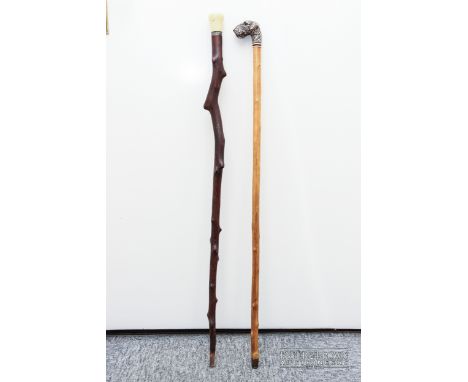 An ivory topped waling cane with white metal collar and gnarled stick; and another cane, topped with a resin dog's head with 