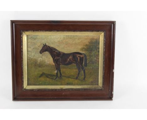 J Parkin "Belville", portrait of a horse
Signed to the lower right and titled to the lower centre,
Oil on canvas,
38 cm x 48 