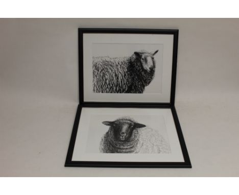 After Henry Moore, two sheep sketches taken form Henry Moore's Sheep Sketchbook,
Information including dates (Sketched Feb 19