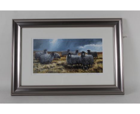 Geoffrey Smith (British School, b 1947),
Sheep, Caldbeck Common,
Signed to bottom right of mount, title to bottom centre of m