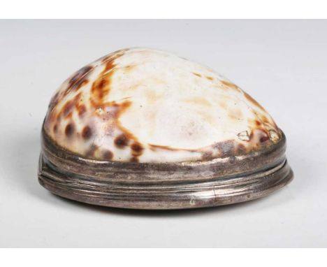 A late 18th/early 19th century white metal and cowrie shell snuff box, length 7cm.