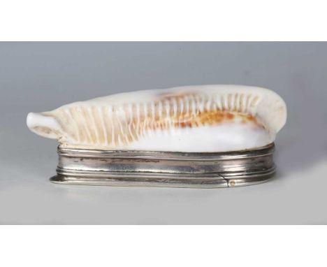 An 18th century silver mounted cowrie shell snuff box of Napoleonic War naval interest, the shell naturalistically formed in 