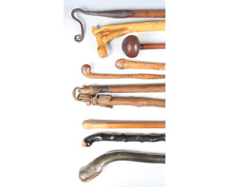 An African hardwood knobkerrie, length 49cm, a 19th century shepherd's crook, a group of six other 19th century and later wal