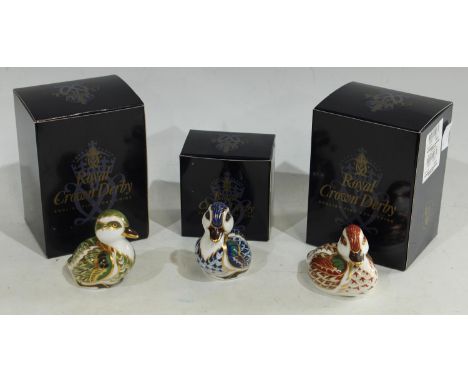 A Royal Crown Derby Paperweight, Bakewell Duckling, exclusive limited edition for Sinclairs, gold stopper,certificate, boxed;