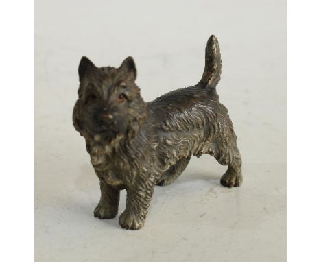 An Austrian cold-painted bronze, of a terrier dog, 5.5cm high, early 20th century 