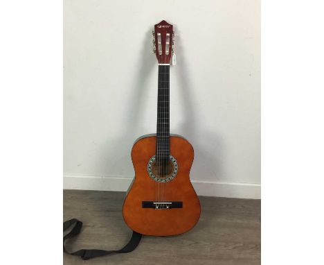 ELEVATION ACOUSTIC GUITAR,along with another acoustic guitar (2)