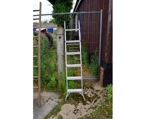 THREE-WAY EXTENDING LADDER