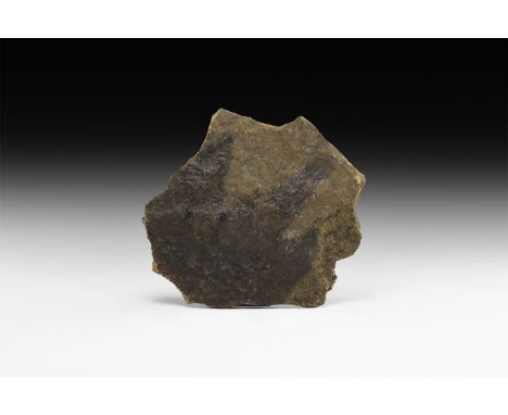 Jurassic Period, 200 million years BP. A single Coelophysis sp. dinosaur footprint, on a small slab.   85 grams, 13cm (5"). C