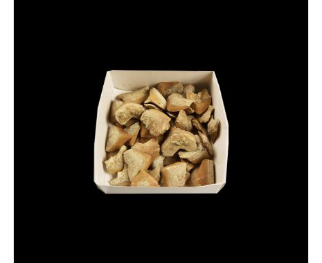 Early Eocene Period, 50 million years BP. A group of fifty Squalicorax sp. (crow shark) teeth; all with good enamel and roots
