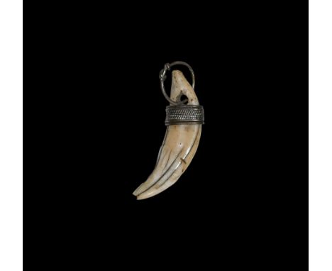 9th-11th century AD. A canine tooth with sheet silver collar, pierced to accept a suspension loop. Cf. Sedov, B.B. Finno-Ugri