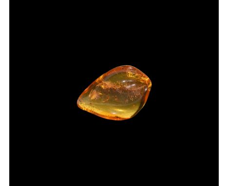 Oligocene Period, 45 million years BP. A clear polished piece of Baltic amber containing a fly, together with other inclusion