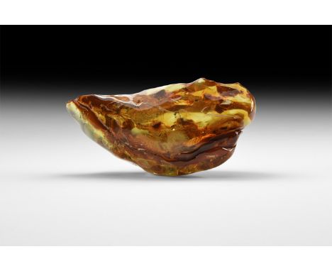 Oligocene Period, 45 million years BP. A large irregular block of naturally polished amber with insect inclusions.   137 gram