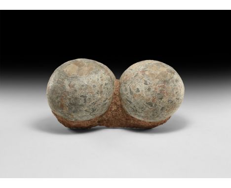 Cretaceous Period, 145-65 million years BP. A large pair of Charonosaurus sp. hadrosaur eggs on matrix retaining evidence of 