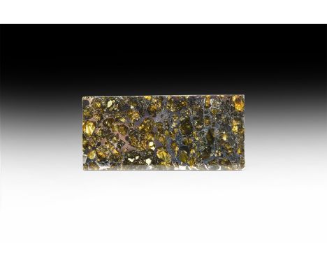 A highly polished rectangular slice of the Seymchan meteorite with an exceptional number of transparent olivine inclusions. S