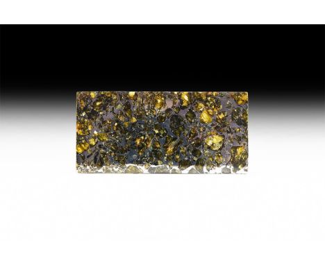 A highly polished rectangular slice of the Seymchan meteorite with an exceptional number of transparent olivine inclusions. S