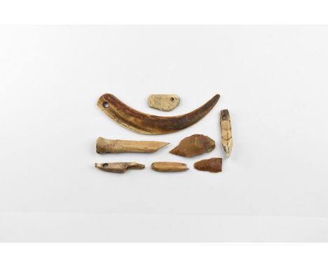Neolithic, 4th-3rd millennium BC. A mixed group comprising: two flint microlith scrapers; two pierced canine teeth; three pie