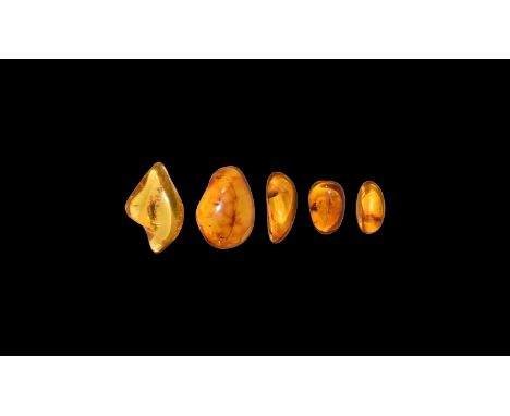 Oligocene Period, 45 million years BP. A group of five pieces of polished clear Baltic amber, all containing flies or other i