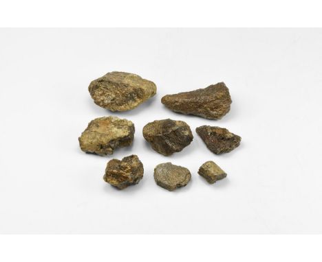 Jurassic Period, 168 million years BP. Group of eight Camarasaurus dinosaur rib bone sections.   196 grams total, 17-61.5mm (
