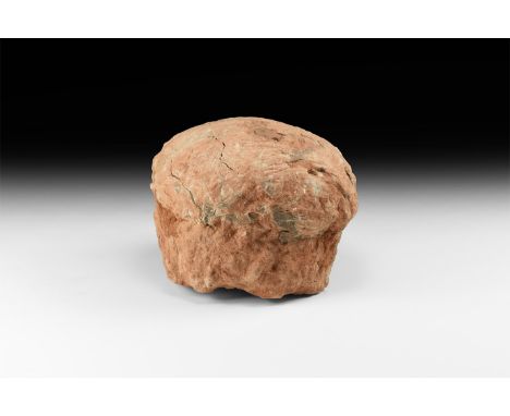 Cretaceous Period, 145-65 million years BP. A large Charonosaurus sp. hadrosaur egg on matrix retaining evidence of the origi