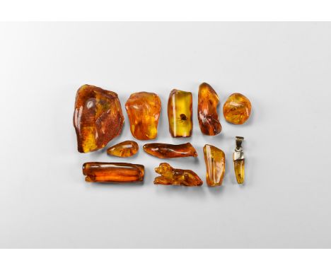 40-50 million years BP. A collection of eleven irregular pieces of Baltic amber, many with insect and other inclusions; one c