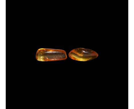 Oligocene Period, 45 million years BP. A group of two pieces of polished clear Baltic amber, both containing flies or other i
