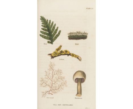 Fitton (E. &amp; S.M.) Conversations on Botany, hand-coloured plates, occasional light spotting, contemporary half calf, reba