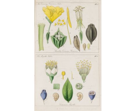 Botany.- Lindley (John) Ladies' Botany, 2 vol., fifth edition, 50 hand-coloured plates, pencil annotations, vol. 2 lacking fr