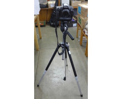 A Nikon D1X camera with tripod 