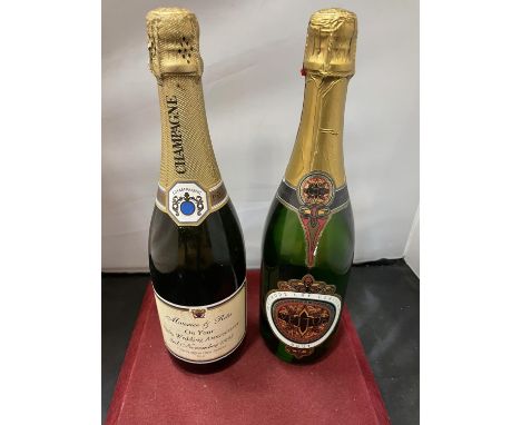 A 75L BOTTLE OF METHODE CAP CLASSIQUE BRUT SOUTH AFRICAN SPARKLING WINE, A 75L CHAMPAGNE PAUL GERICOT BRUT 1995 