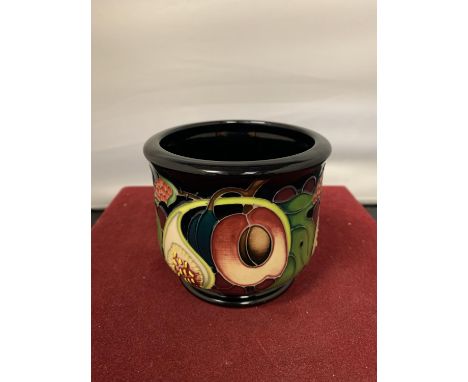 A MOORCROFT QUEENS CHOICE PLANTER 