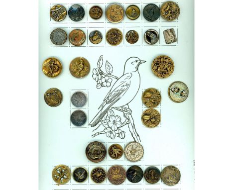 33 Medium and small 19th century examples including identifiable. This is a nice selection of bird buttons and includes a won