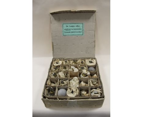A BOXED TRAY OF GERMAN EARLY LIGHT BULBS