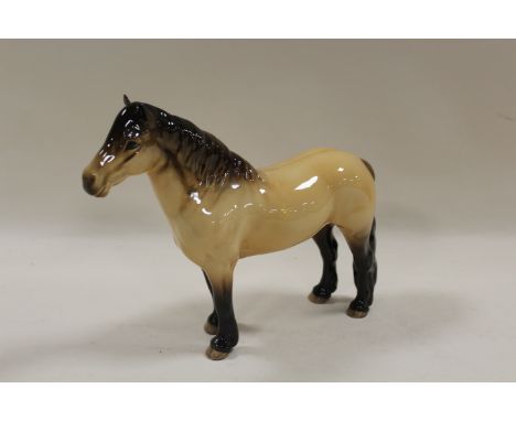 A BESWICK MODEL OF A HIGHLAND PONY HORSE MACKIONNEACH 1644 IN DUNN GLOSS COLOURWAY