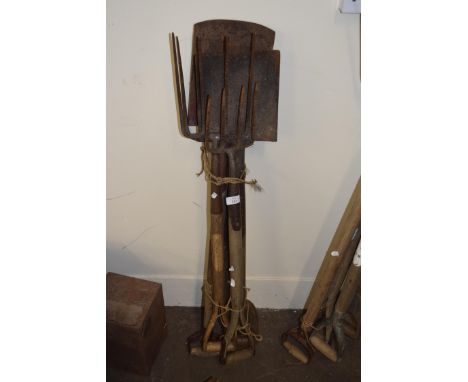 Bundle of garden tools