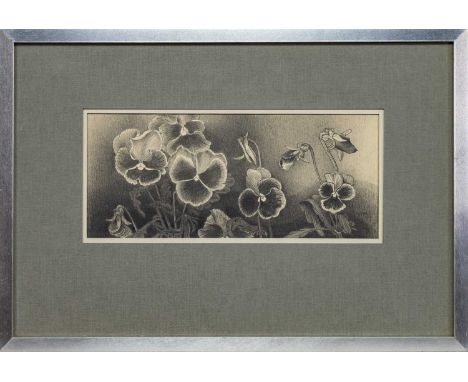 * BET LOW RSW ARSA RGI DLitt (SCOTTISH 1924 - 2007), PANSY PATCH - NIGHT pencil on paper, signed, titled label versomounted, 