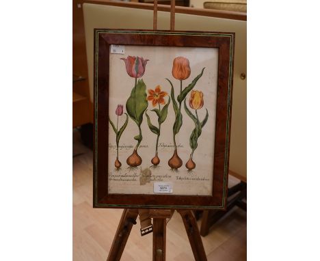 A set of four 17th Century style Dutch Floragilium colour prints subjects including Tulips and Poppies, in maple frames (4)&n