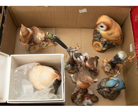 A group of Royal Crown Derby ceramic models of birds to include:&nbsp;Barn Owl modelled by J Bryan; Barn Owl by L Purdy; Thru