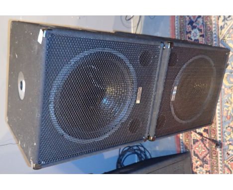 Two Evolution EL-SUB-15A 38cm 60 speaker 