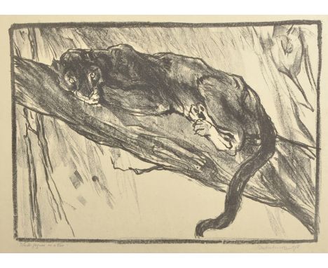 Elise Marian Henderson 'Baroness De Coudenhove' (1880-c1967) British. "Black Jaguar on a Tree", Lithograph, Signed, Inscribed
