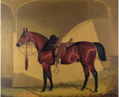 T. Temple, 19th Century English School"Portrait of a Bay Horse in a Stable wearing bridle and saddle," O.O.C., approx. 51cms 
