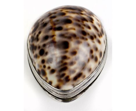 An attractive 19th Century cowrie shell Snuff Box, with hinged and engraved silver mount, decorated in the rococo style. (1)