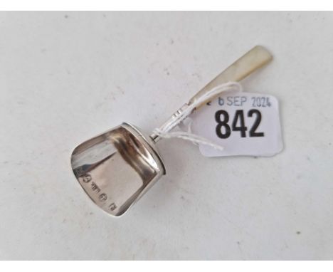 A Georgian caddy spoon with MOP handle , Birmingham 1817 by BB?