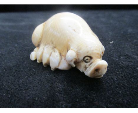 Ivory netsuke model of a pig 