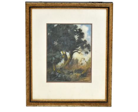 UNATTRIBUTED; watercolour, trees within landscape setting, indistinctly signed lower right, 54 x 42cm, framed and glazed, tog