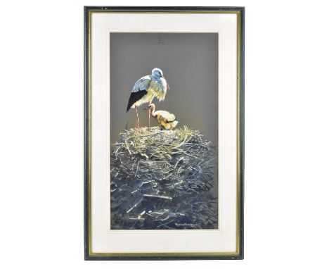 POLLYANNA PICKERING; gouache, stork and chick upon a nest, signed, further signed and dated 7 July 1991 with artist biographi