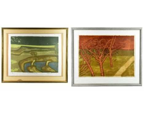 CLIFF WILKINSON; a signed limited edition coloured lithograph, 'Farm Machinery VIII', signed and dated 1984 and numbered 3/12